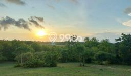 Tanah Kavling Dijual di Pecatu, Badung dengan Luas Tanah 19590m2 Tanah Kavling Dijual di Pecatu, Badung dengan Luas Tanah 19590m2