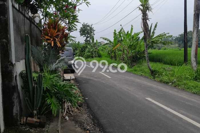Kavling Tanah Dijual di Tabanan Tabanan Spesifikasi 2600m2 Kavling Tanah Dijual di Tabanan Tabanan Spesifikasi 2600m2