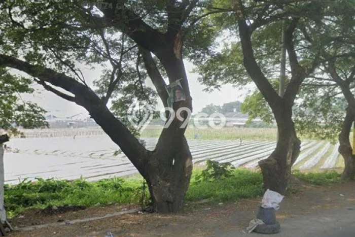 Dijual Tanah di Gempol Pasuruan Luas 18452m2 - Dijual Tanah di Gempol Pasuruan Luas 18452m2 -
