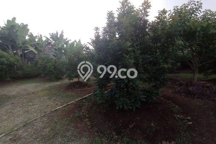 Tanah di Citeureup, Bogor Luas 2077m2 Dijual Segera Tanah di Citeureup, Bogor Luas 2077m2 Dijual Segera