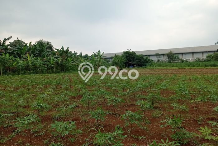 Tanah di Cibinong, Bogor Luas 70000m2 Dijual Segera Tanah di Cibinong, Bogor Luas 70000m2 Dijual Segera