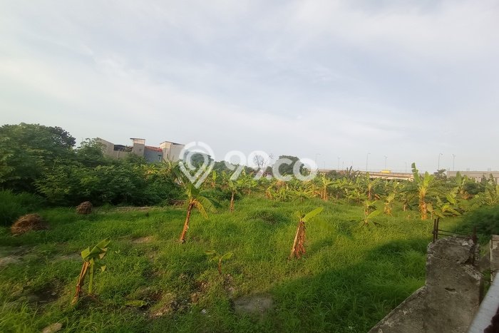 Tanah Disewa di Tanah Tinggi Strategis dan Memiliki Luas 6000m2 Tanah Disewa di Tanah Tinggi Strategis dan Memiliki Luas 6000m2