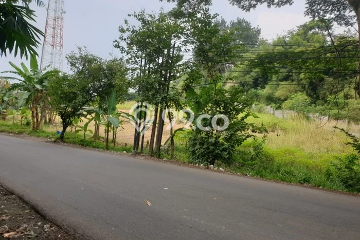 Tanah Kavling Disewakan di Sentul City dengan Luas 2971m2 Tanah Kavling Disewakan di Sentul City dengan Luas 2971m2
