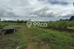 Tanah Strategis Dijual di Citeureup Bogor 6500m2 Tanah Strategis Dijual di Citeureup Bogor 6500m2