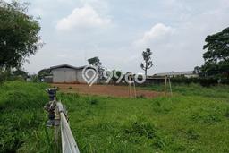 Untuk Disewa Tanah di Cimanggis Luas 8036m2 SHM Untuk Disewa Tanah di Cimanggis Luas 8036m2 SHM