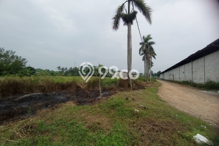 Lahan Disewakan di Cileungsi, Bogor, Luas 5000m2 SHM Lahan Disewakan di Cileungsi, Bogor, Luas 5000m2 SHM