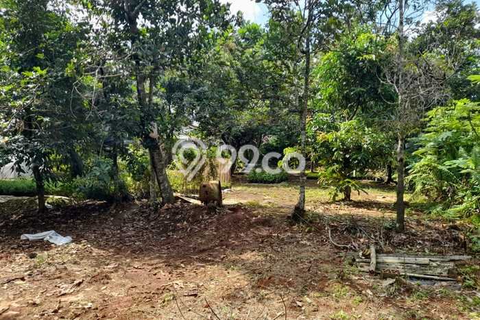Tanah Kavling Dijual di Depok dengan Spesifikasi 5070m2 Tanah Kavling Dijual di Depok dengan Spesifikasi 5070m2
