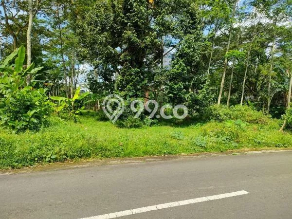 Tanah Disewakan di Sidomukti, Salatiga, Luas 3180m2 SHM Tanah Disewakan di Sidomukti, Salatiga, Luas 3180m2 SHM