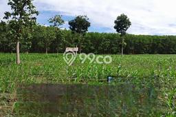 Kavling Tanah Dijual di Caringin, Garut, Luas 100000m2 Area Strategis Kavling Tanah Dijual di Caringin, Garut, Luas 100000m2 Area Strategis