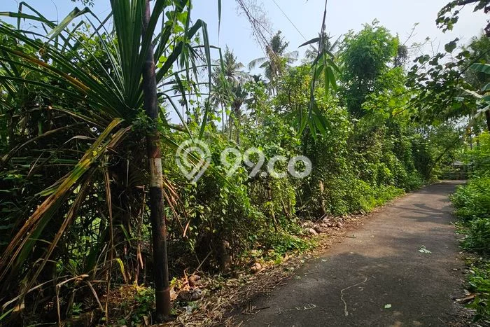 Tanah Dijual di Buleleng Seluas 400m2 Strategis Tanah Dijual di Buleleng Seluas 400m2 Strategis