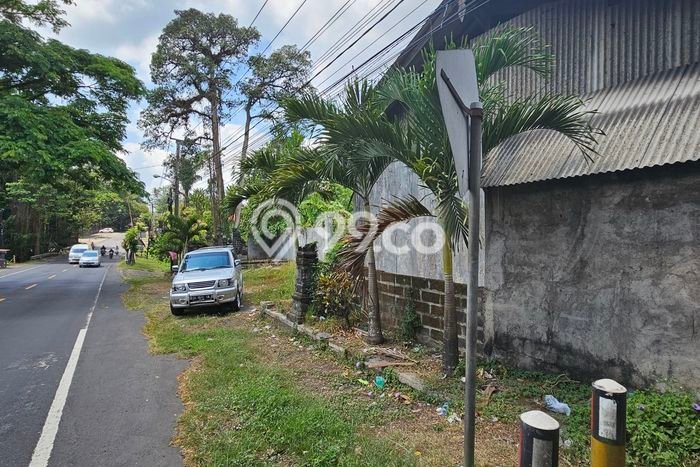 Tanah Dijual Lokasi Kerambitan, Tabanan Luas 4200m2 Legalitas Aman Tanah Dijual Lokasi Kerambitan, Tabanan Luas 4200m2 Legalitas Aman