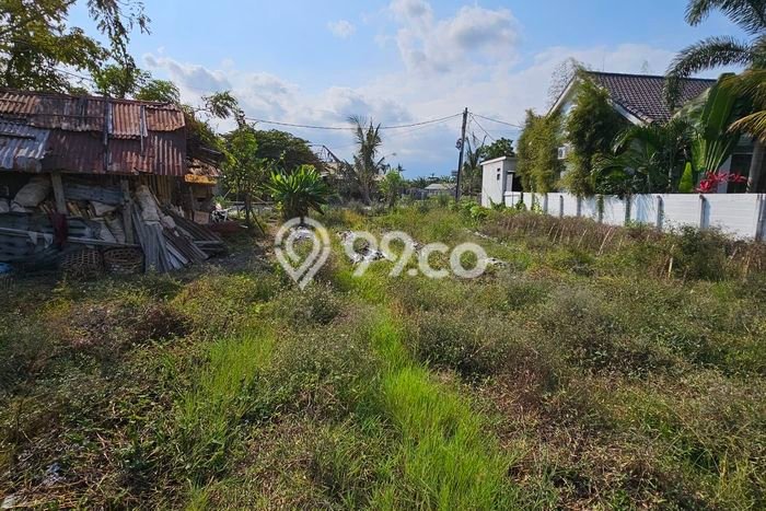 Untuk Disewa Tanah di canggu Badung Seluas 5400m2 Untuk Disewa Tanah di canggu Badung Seluas 5400m2