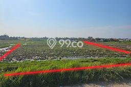 Tanah di , Luas 4800m2m², Area Potensial Tanah di , Luas 4800m2m², Area Potensial