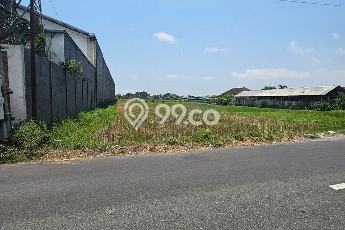 Disewakan Tanah Kawasan Sempidi, Luas 1800m², Lokasi Strategis Disewakan Tanah Kawasan Sempidi, Luas 1800m², Lokasi Strategis