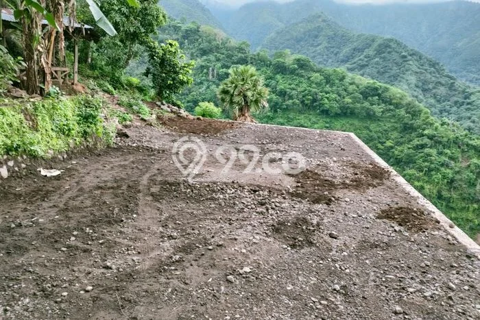 Kavling Tanah di Tejakula Dijual Luas 22750m2 Legalitas SHM Kavling Tanah di Tejakula Dijual Luas 22750m2 Legalitas SHM