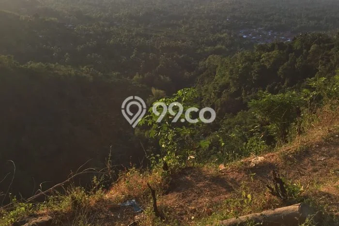 Kavling Tanah di Tejakula Dijual Luas 22750m2 Legalitas SHM Kavling Tanah di Tejakula Dijual Luas 22750m2 Legalitas SHM