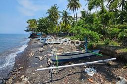 Kavling Tanah Dijual di Tejakula Buleleng Spesifikasi 3800m2 Kavling Tanah Dijual di Tejakula Buleleng Spesifikasi 3800m2