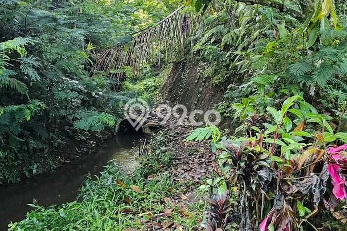 Dijual Tanah di Tabanan, Luas 10000m2 SHM Dijual Tanah di Tabanan, Luas 10000m2 SHM