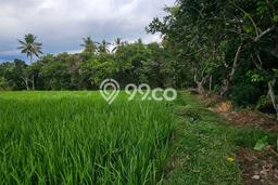 Tanah Kavling di Kubutambahan Dijual dengan Luas 3400m2 Tanah Kavling di Kubutambahan Dijual dengan Luas 3400m2