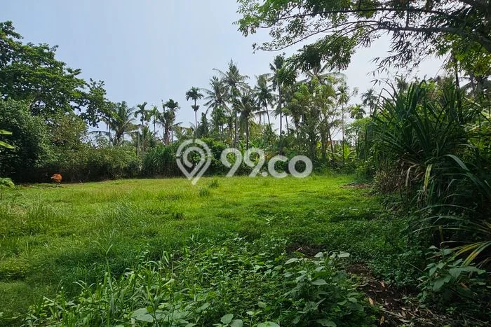 Tanah Dijual di Buleleng Seluas 400m2 Strategis Tanah Dijual di Buleleng Seluas 400m2 Strategis