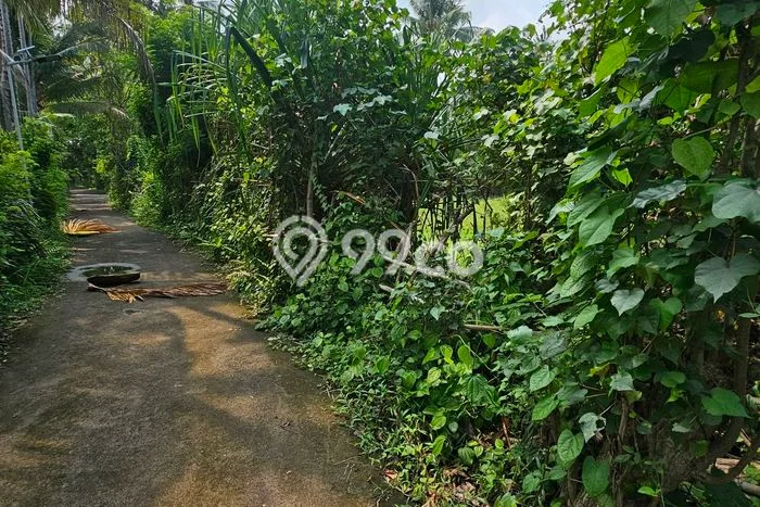 Tanah Dijual di Buleleng Seluas 400m2 Strategis Tanah Dijual di Buleleng Seluas 400m2 Strategis
