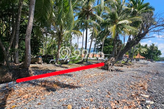Tanah Dijual Lokasi Buleleng, Buleleng Luas 5000m2 Legalitas Aman Tanah Dijual Lokasi Buleleng, Buleleng Luas 5000m2 Legalitas Aman