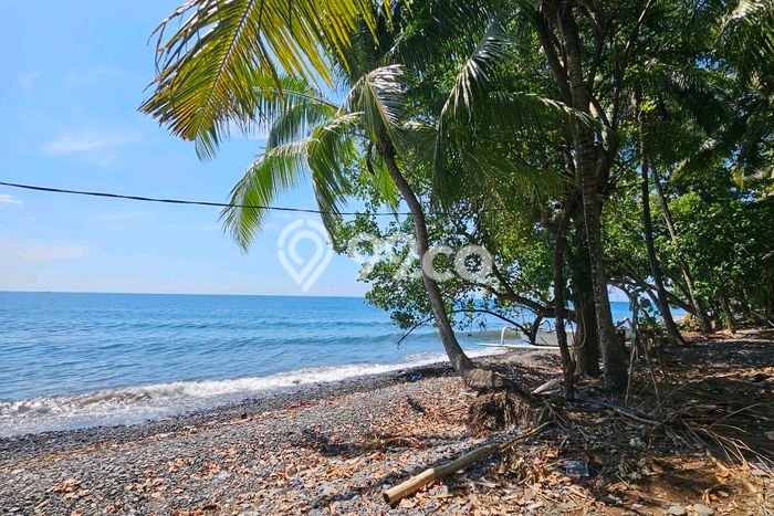 Tanah Dijual Lokasi Buleleng, Buleleng Luas 5000m2 Legalitas Aman Tanah Dijual Lokasi Buleleng, Buleleng Luas 5000m2 Legalitas Aman