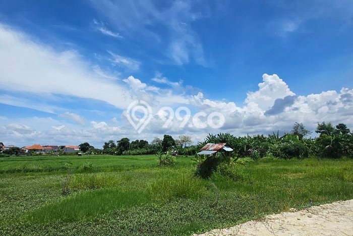 Jarang Ada! Tanah Kavling Disewakan di Badung 2000m2 Jarang Ada! Tanah Kavling Disewakan di Badung 2000m2