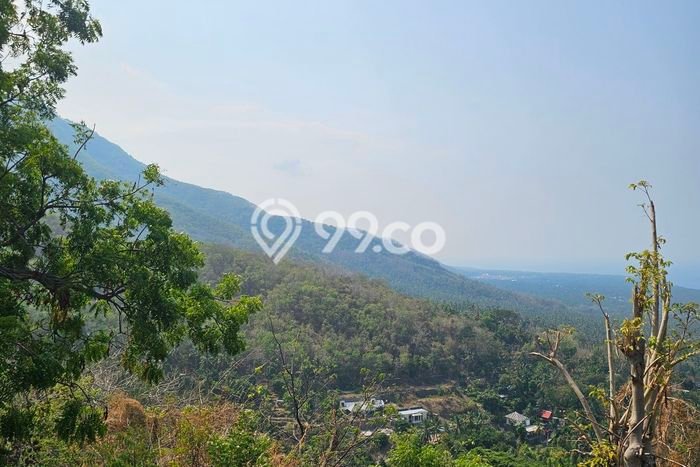 Tanah di Buleleng, Buleleng Luas 25000m2 Dijual Segera Tanah di Buleleng, Buleleng Luas 25000m2 Dijual Segera