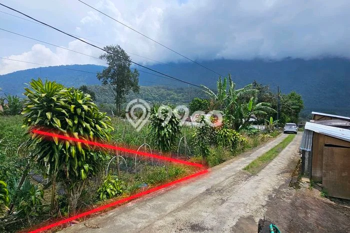 Tanah Kavling Dijual di Bedugul, Tabanan dengan Luas Tanah 2000m2 Tanah Kavling Dijual di Bedugul, Tabanan dengan Luas Tanah 2000m2