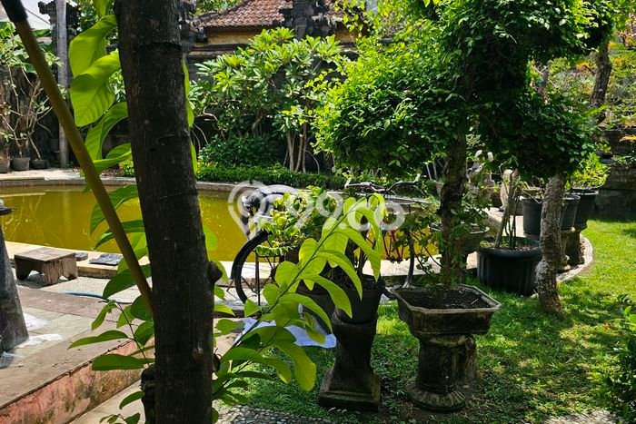 Kavling Tanah untuk Disewa di Seminyak Lahan Luas 800m2 Kavling Tanah untuk Disewa di Seminyak Lahan Luas 800m2