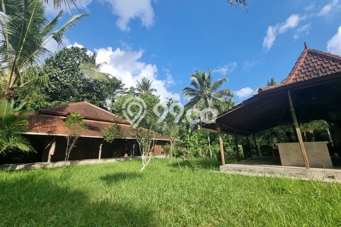 Tanah Dijual Lokasi Penebel, Tabanan Luas 2000m2 Legalitas Aman Tanah Dijual Lokasi Penebel, Tabanan Luas 2000m2 Legalitas Aman