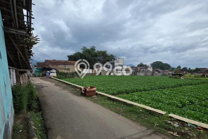 Tanah Dijual Lokasi Soreang, Bandung Luas 3858m2 Legalitas Aman Tanah Dijual Lokasi Soreang, Bandung Luas 3858m2 Legalitas Aman