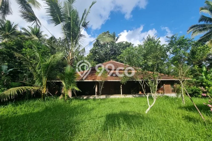 Tanah Dijual Lokasi Penebel, Tabanan Luas 2000m2 Legalitas Aman Tanah Dijual Lokasi Penebel, Tabanan Luas 2000m2 Legalitas Aman