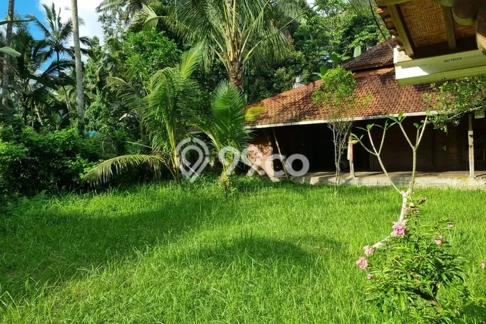 Tanah Dijual Lokasi Penebel, Tabanan Luas 2000m2 Legalitas Aman Tanah Dijual Lokasi Penebel, Tabanan Luas 2000m2 Legalitas Aman