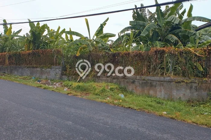 Tanah Kosong Dijual di Denpasar dengan Area 1350m2 Tanah Kosong Dijual di Denpasar dengan Area 1350m2