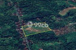 Jarang Ada! Tanah di Negara Punya Luas 13230m2 SHM Jarang Ada! Tanah di Negara Punya Luas 13230m2 SHM