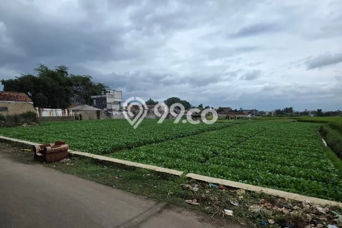 Tanah Dijual Lokasi Soreang, Bandung Luas 3858m2 Legalitas Aman Tanah Dijual Lokasi Soreang, Bandung Luas 3858m2 Legalitas Aman