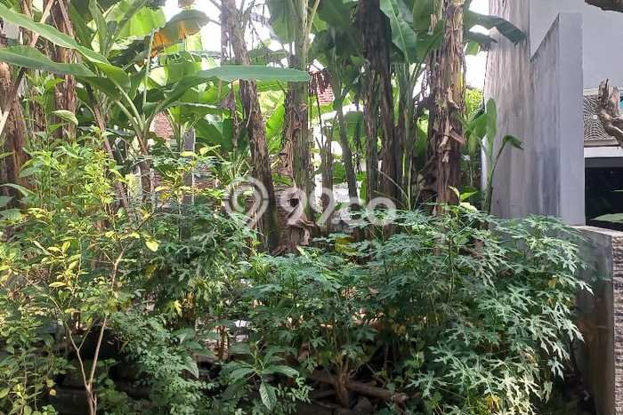 Tanah di Gajah Mungkur, Semarang Luas 101m2 Dijual Segera Tanah di Gajah Mungkur, Semarang Luas 101m2 Dijual Segera