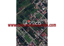 Dijual Tanah di Johan Pahlawan, Luas 1950m2m², Kawasan Nyaman Dijual Tanah di Johan Pahlawan, Luas 1950m2m², Kawasan Nyaman