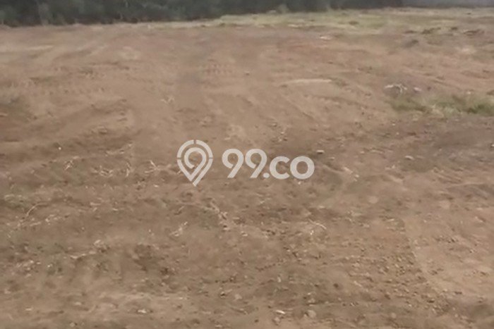 Dijual Tanah Kawasan Purwosari, Luas 10285m2m², Dekat Purwosari, Pasuruan, Pasuruan Dijual Tanah Kawasan Purwosari, Luas 10285m2m², Dekat Purwosari, Pasuruan, Pasuruan
