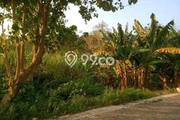 Untuk Dijual Tanah di Semarang, Luas 210m2 SHM Untuk Dijual Tanah di Semarang, Luas 210m2 SHM