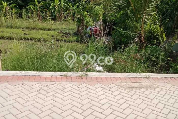 Tanah Komersial Dijual di Pedurungan Semarang 105m2 Tanah Komersial Dijual di Pedurungan Semarang 105m2