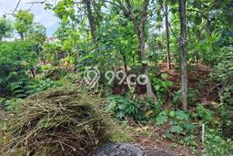 Dijual Tanah di Tembalang Semarang Luas 789m2 SHM Dijual Tanah di Tembalang Semarang Luas 789m2 SHM