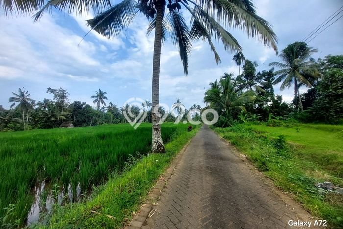 Tanah Dijual Lokasi Licin, Banyuwangi dengan Luas Tanah 1500m2 dan Status AJB Tanah Dijual Lokasi Licin, Banyuwangi dengan Luas Tanah 1500m2 dan Status AJB