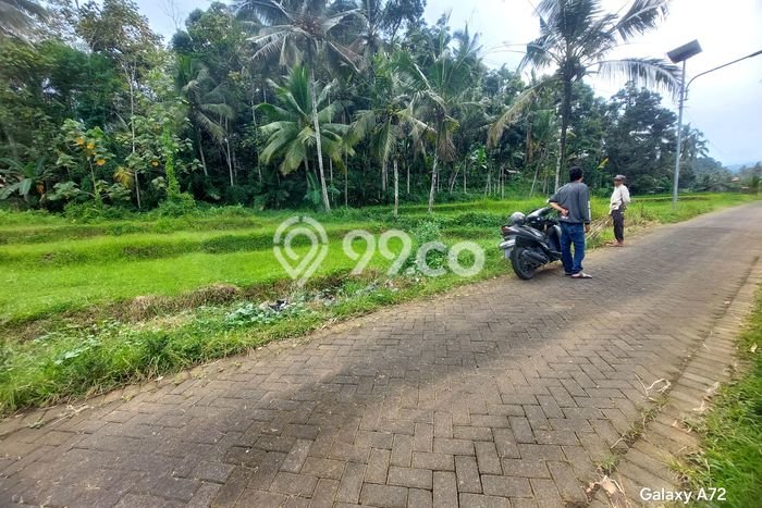 Tanah Dijual Lokasi Licin, Banyuwangi dengan Luas Tanah 1500m2 dan Status AJB Tanah Dijual Lokasi Licin, Banyuwangi dengan Luas Tanah 1500m2 dan Status AJB