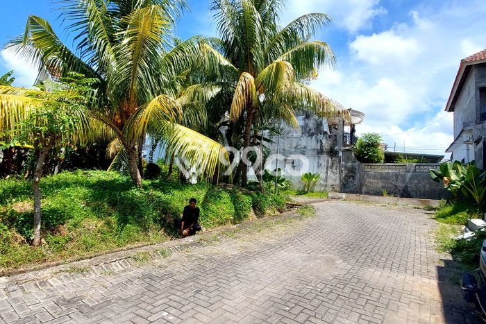 Tanah Strategis Dijual di Banyuwangi Banyuwangi 147m2 Tanah Strategis Dijual di Banyuwangi Banyuwangi 147m2