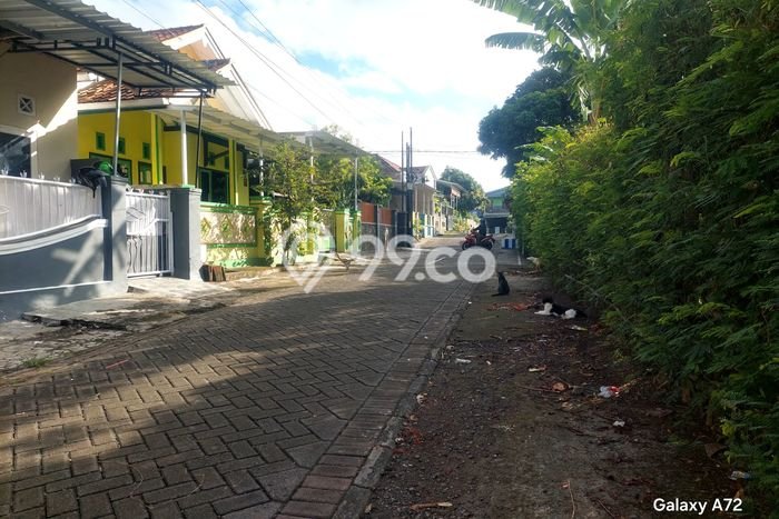 Jarang Ada! Tanah di Banyuwangi Punya Luas 267m2 SHM Jarang Ada! Tanah di Banyuwangi Punya Luas 267m2 SHM