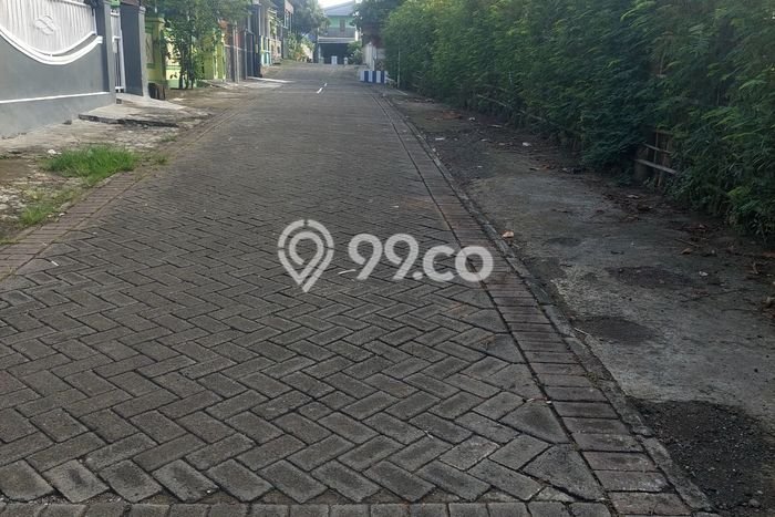 Jarang Ada! Tanah di Banyuwangi Punya Luas 267m2 SHM Jarang Ada! Tanah di Banyuwangi Punya Luas 267m2 SHM