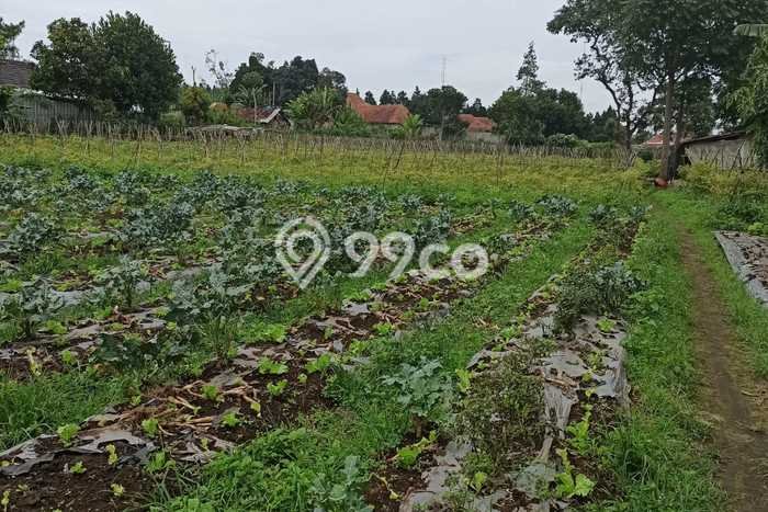 Lahan Investasi Lokasi Lembang Bandung Barat SHM Lahan Investasi Lokasi Lembang Bandung Barat SHM